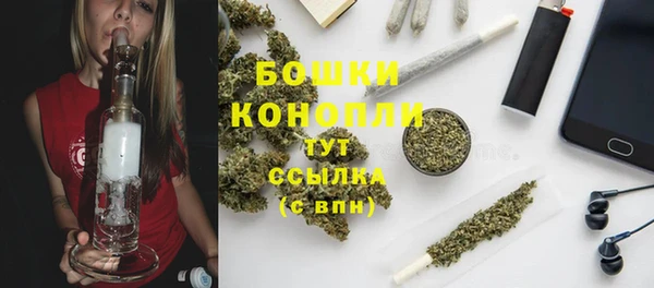 хмурый Арсеньев