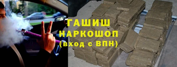хмурый Арсеньев
