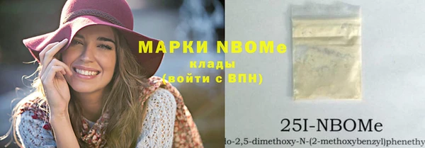 хмурый Арсеньев