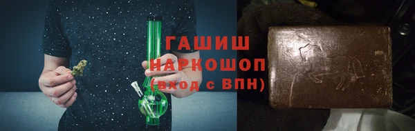 хмурый Арсеньев