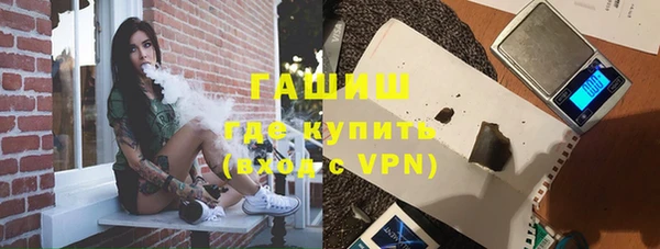 хмурый Арсеньев