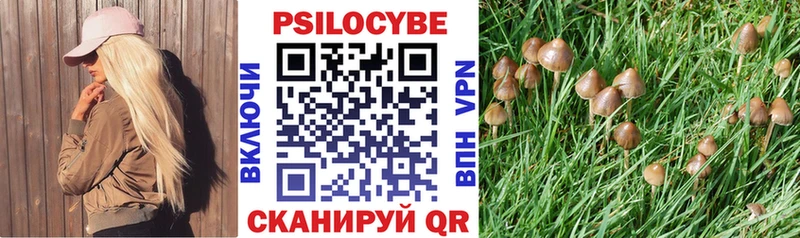 Купить закладки  Светлоград  Псилоцибиновые грибы MAGIC MUSHROOMS 